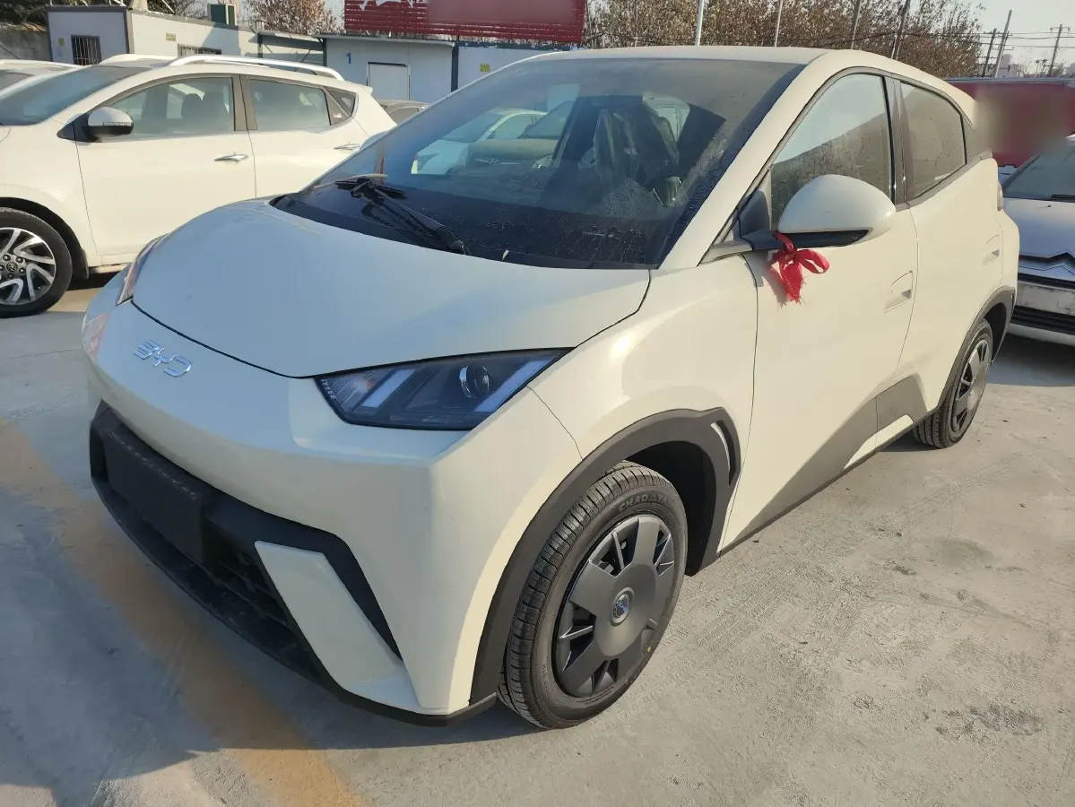 2025 BYD Seagull BEV 30.08KWH