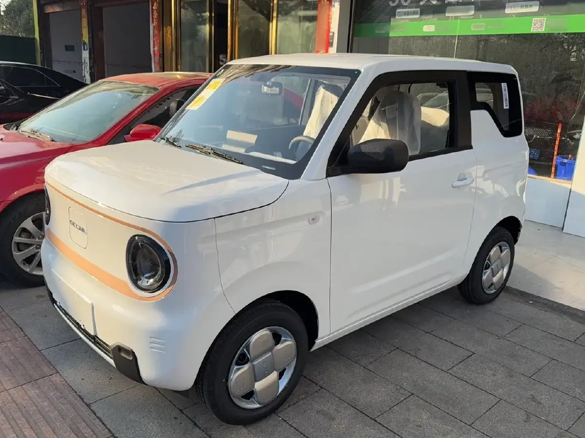 2024 Geely Panda BEV 17.03KWH
