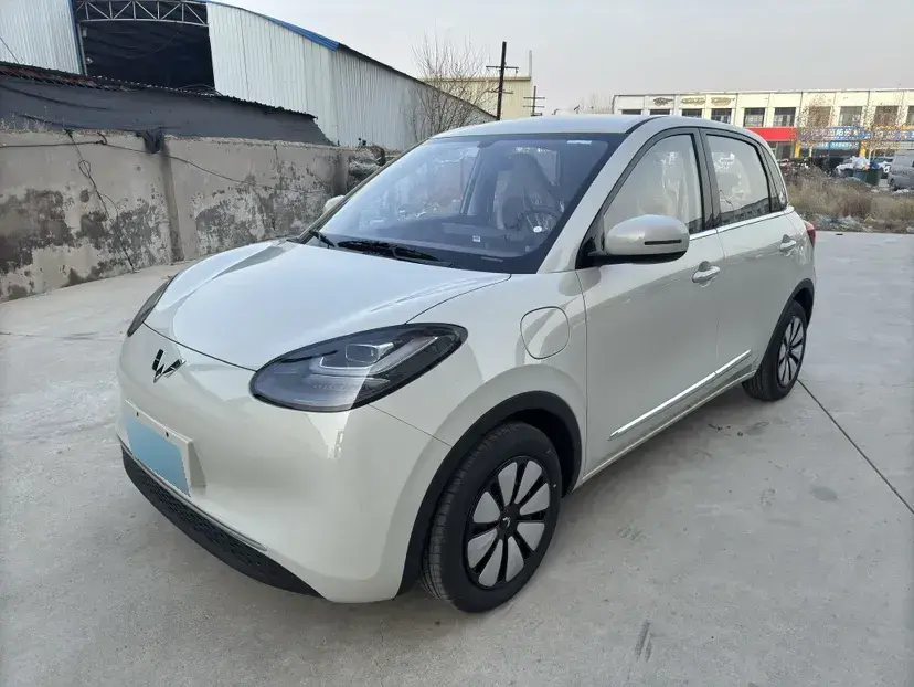 2024 WuLing BinGuo BEV 31.9KWH