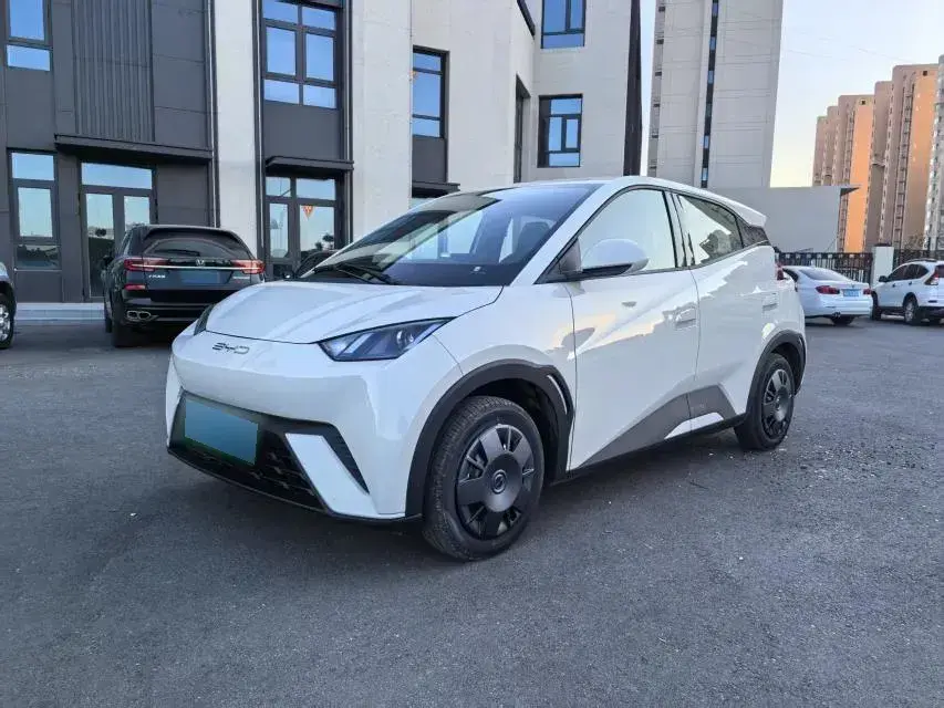 2025 BYD Seagull BEV 30.08KWH