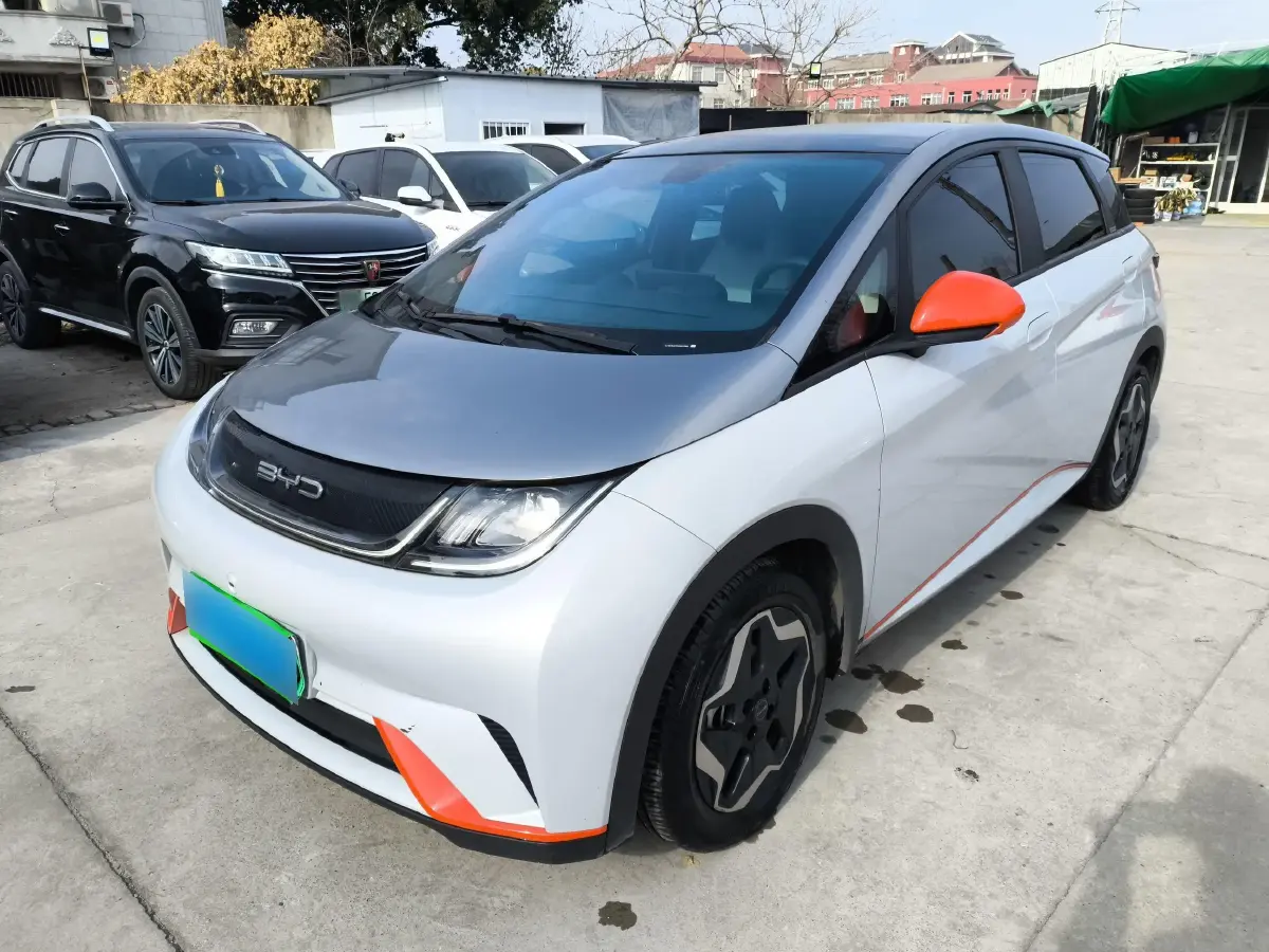 2021 BYD Dolphin BEV 44.9KWH