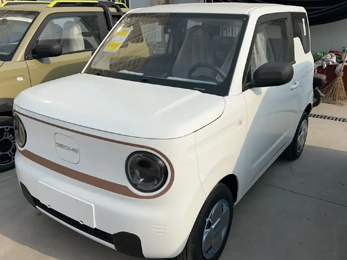 2024 Geely Panda BEV 17.03KWH