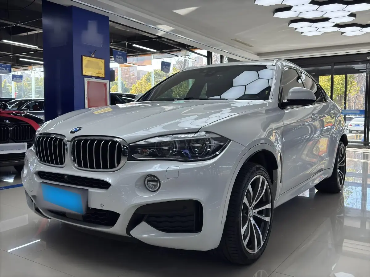 2015 BMW X6 4.0T 408HP V8 8AT