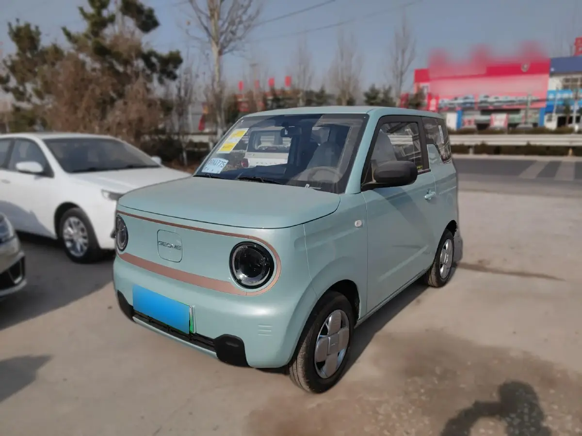 2024 Geely Panda BEV 17.03KWH