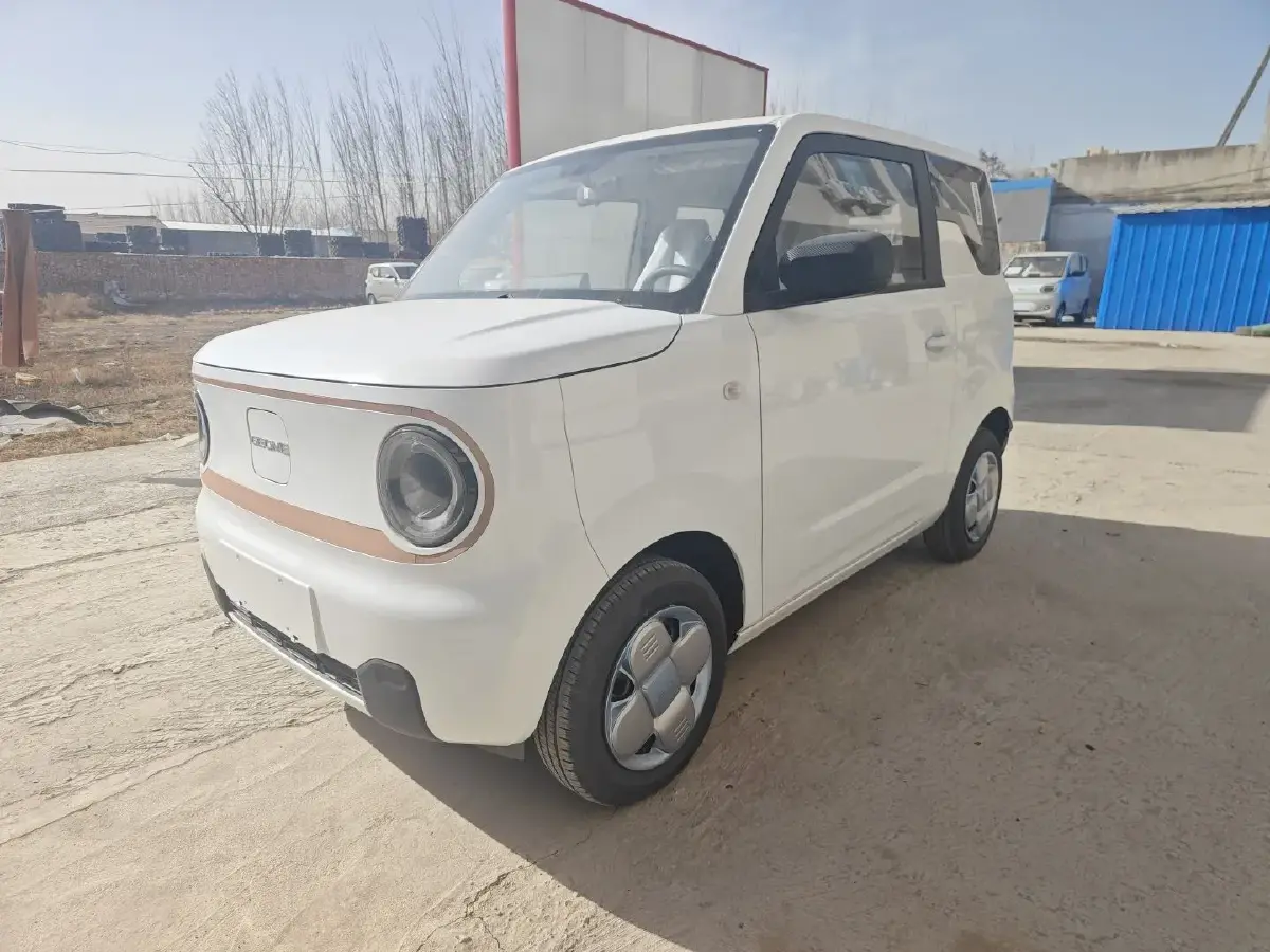 2024 Geely Panda BEV 17.03KWH