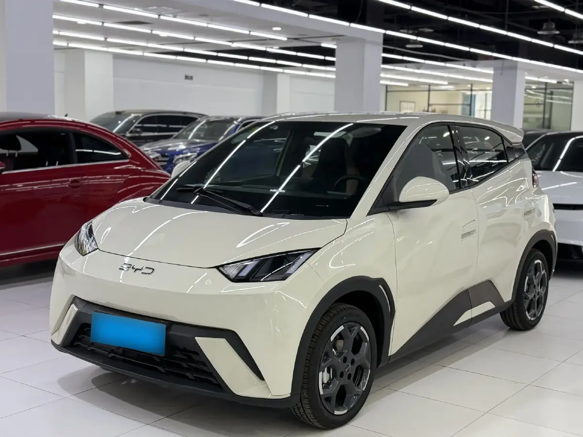 2025 BYD Seagull BEV 30.08KWH