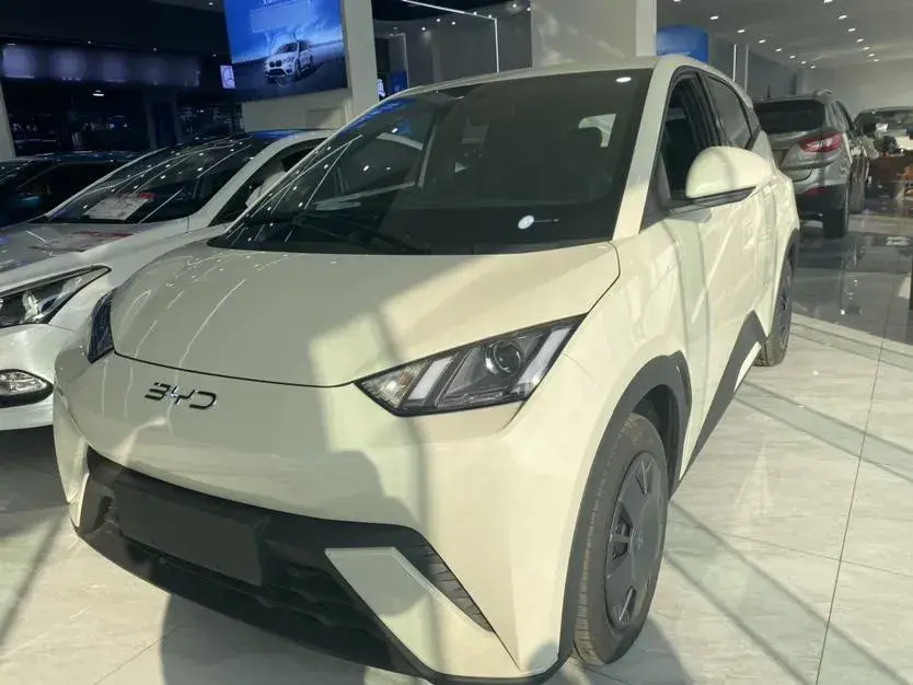 2025 BYD Seagull BEV 30.08KWH