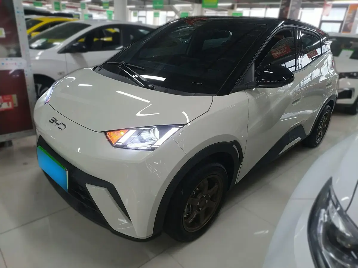 2024 BYD Seagull BEV 30.08KWH