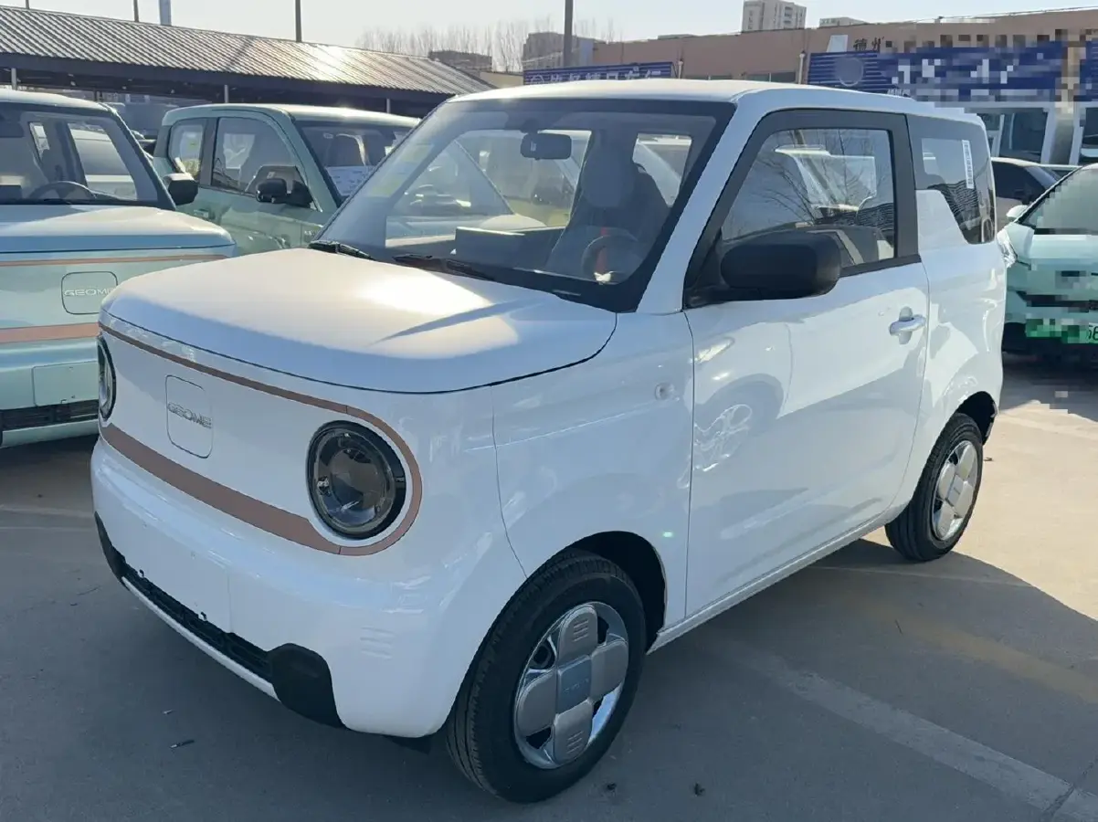 2024 Geely Panda BEV 17.03KWH