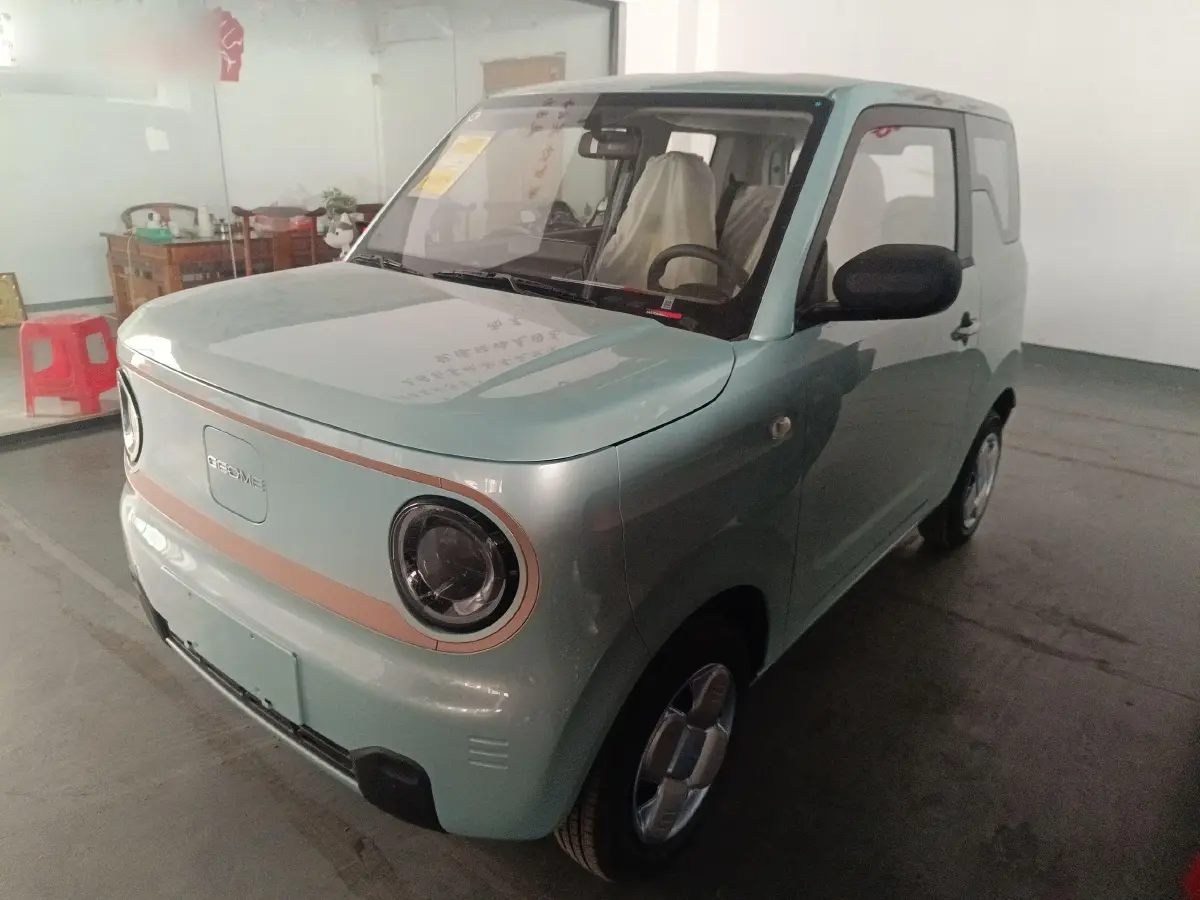 2024 Geely Panda BEV 17.03KWH