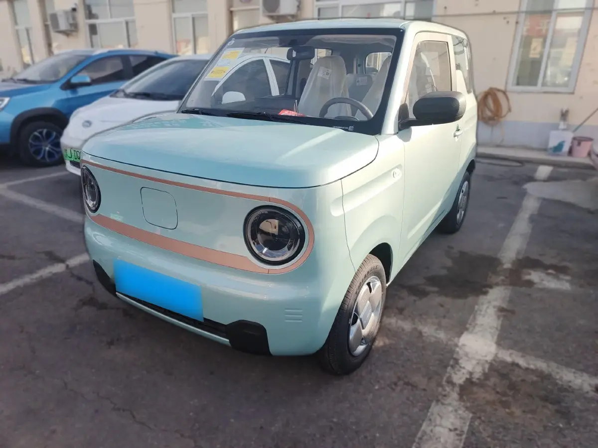 2024 Geely Panda BEV 17.03KWH