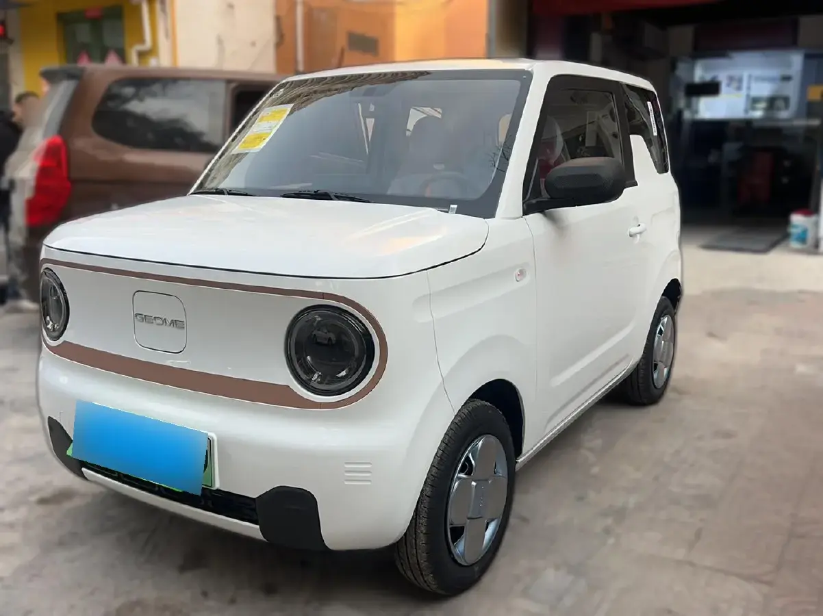 2024 Geely Panda BEV 17.03KWH