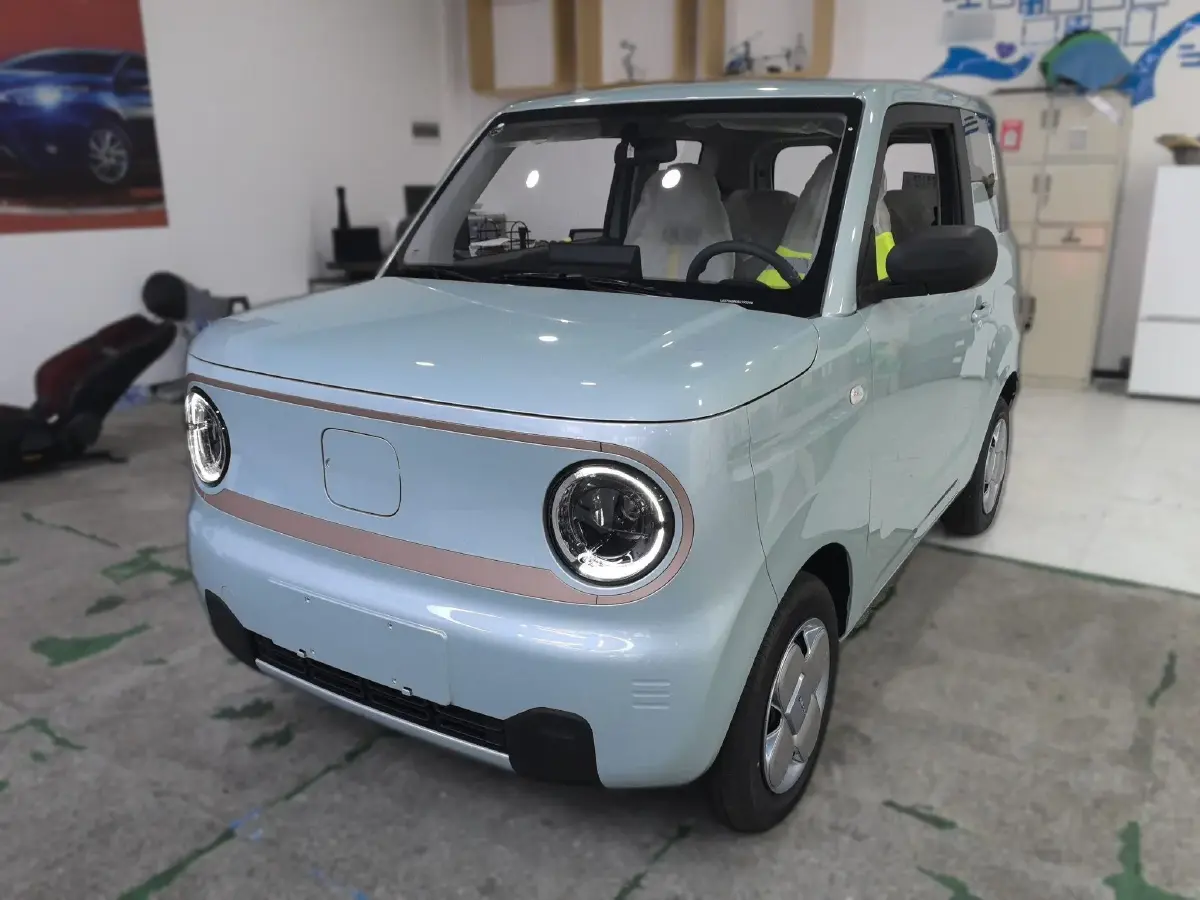 2024 Geely Panda BEV 17.03KWH