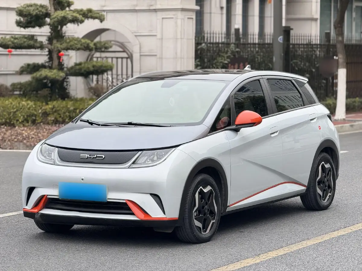2021 BYD Dolphin BEV 44.9KWH