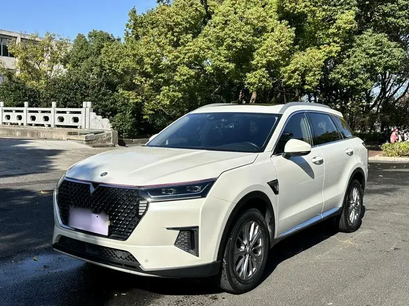 2020 Venucia Star 1.5T 190HP L4 7DCT