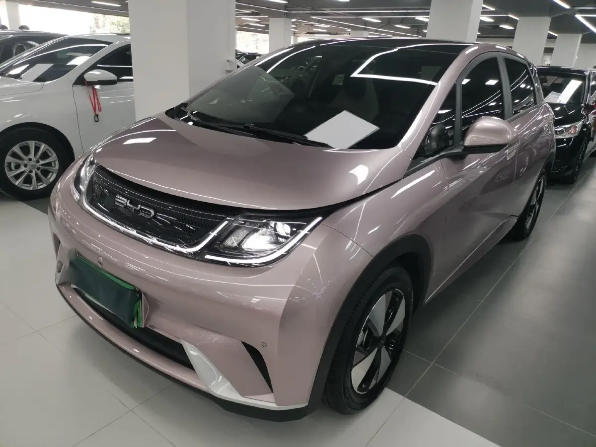 2023 BYD Dolphin BEV 44.928KWH