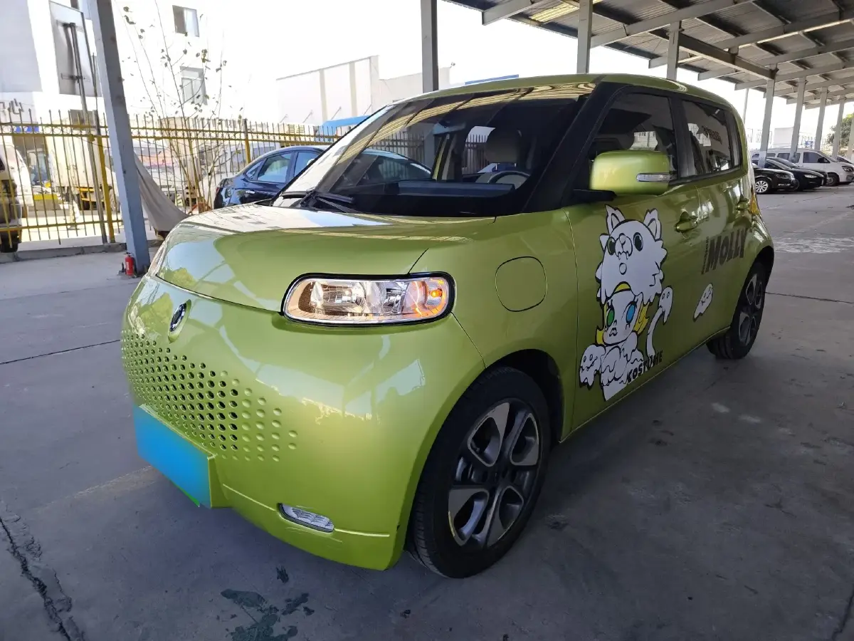 2020 Ora WhiteCat BEV 29.4KWH