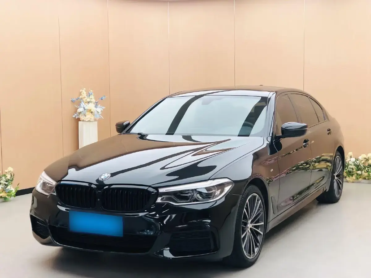 2019 BMW 5 Series 2.0T 252HP L4 8AT