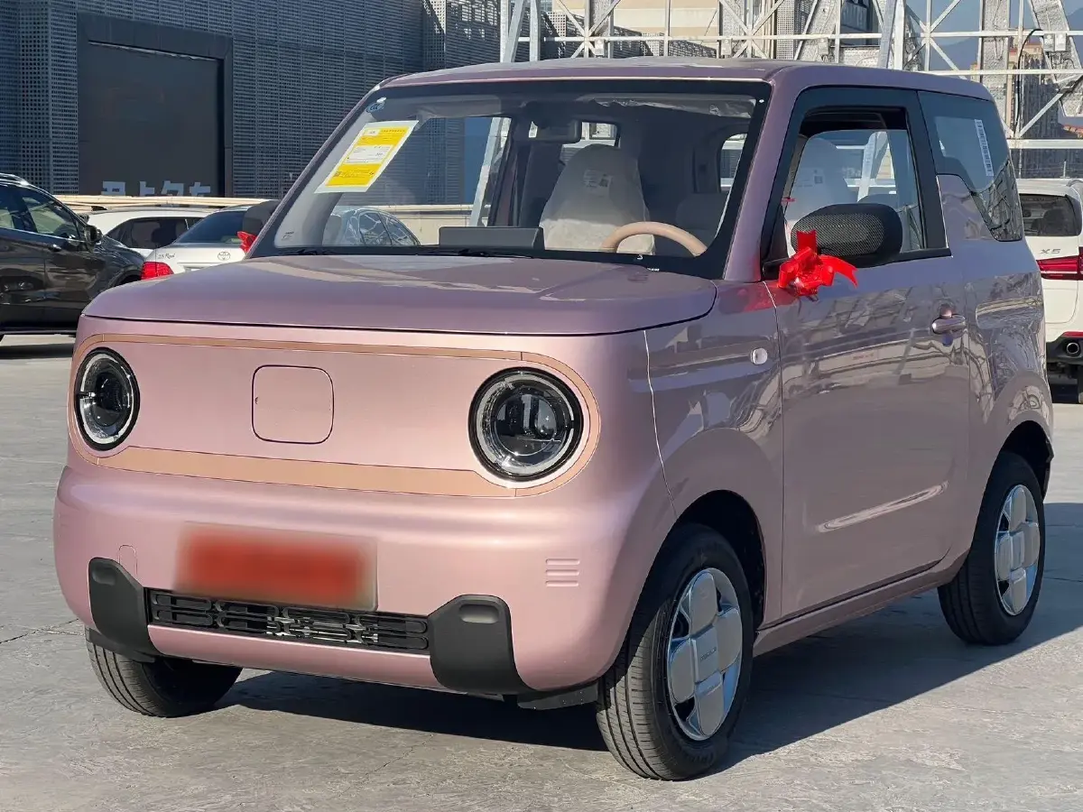2024 Geely Panda BEV 17.03KWH