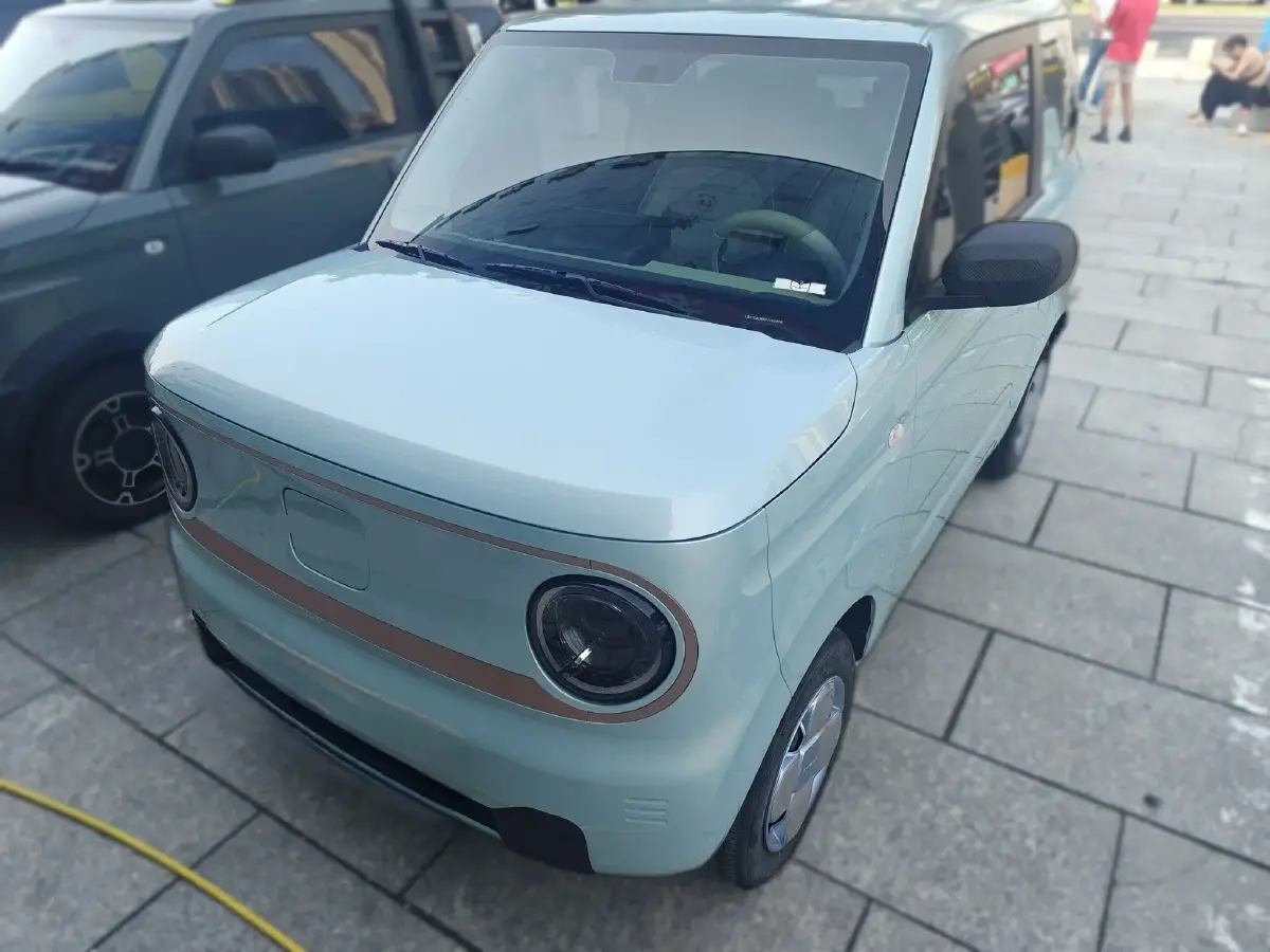 2023 Geely Panda BEV 17.03KWH