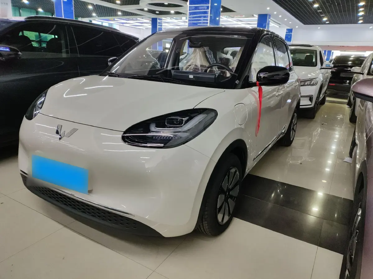 2024 WuLing BinGuo BEV 31.9KWH