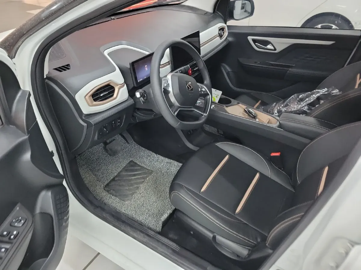 2022 Sehol HuaXianZi BEV 31.4KWH,autocango,china used car exporter,china ev exporter,chinese used car exporter,chinese used ev exporter