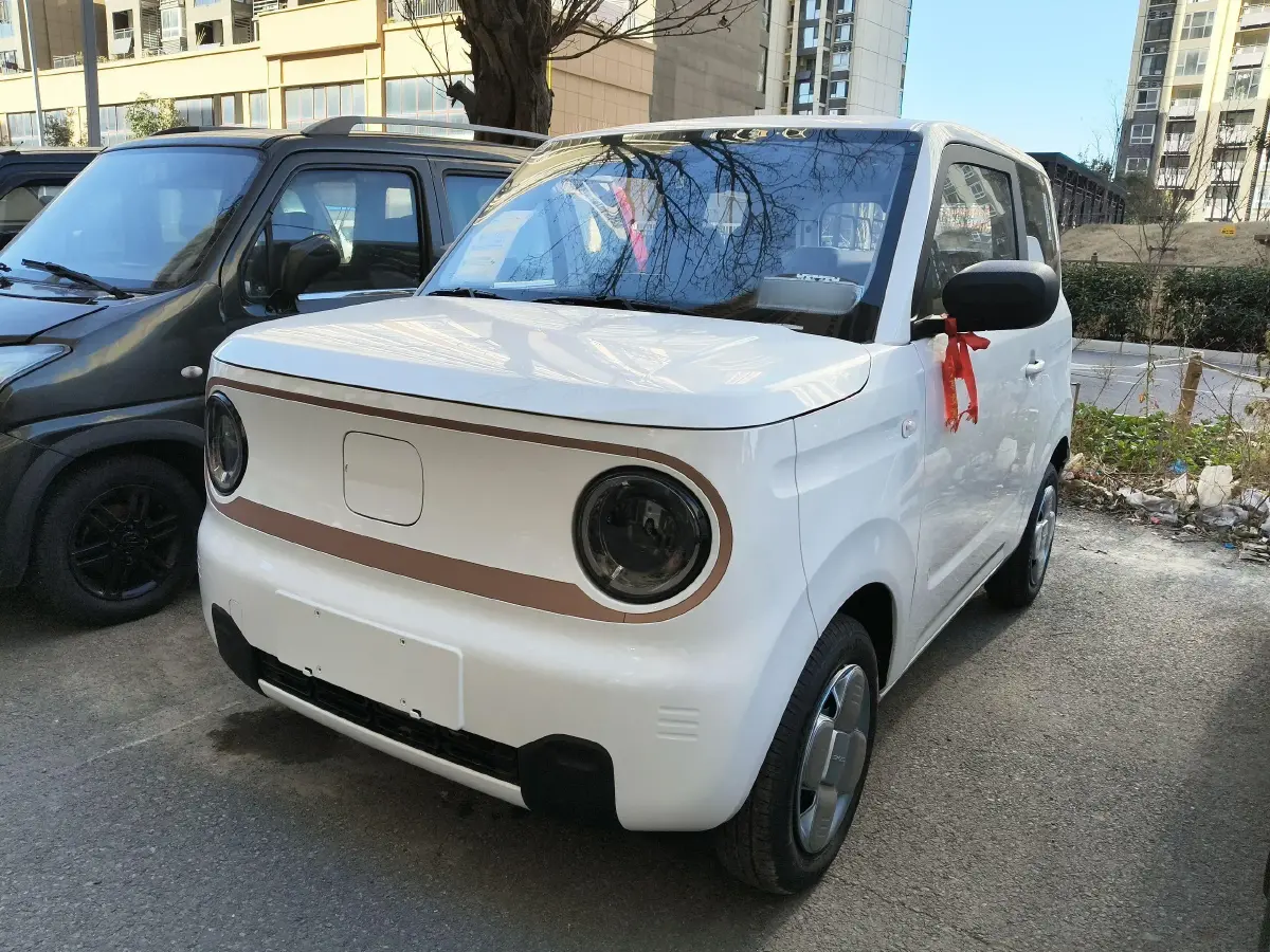 2024 Geely Panda BEV 17.03KWH