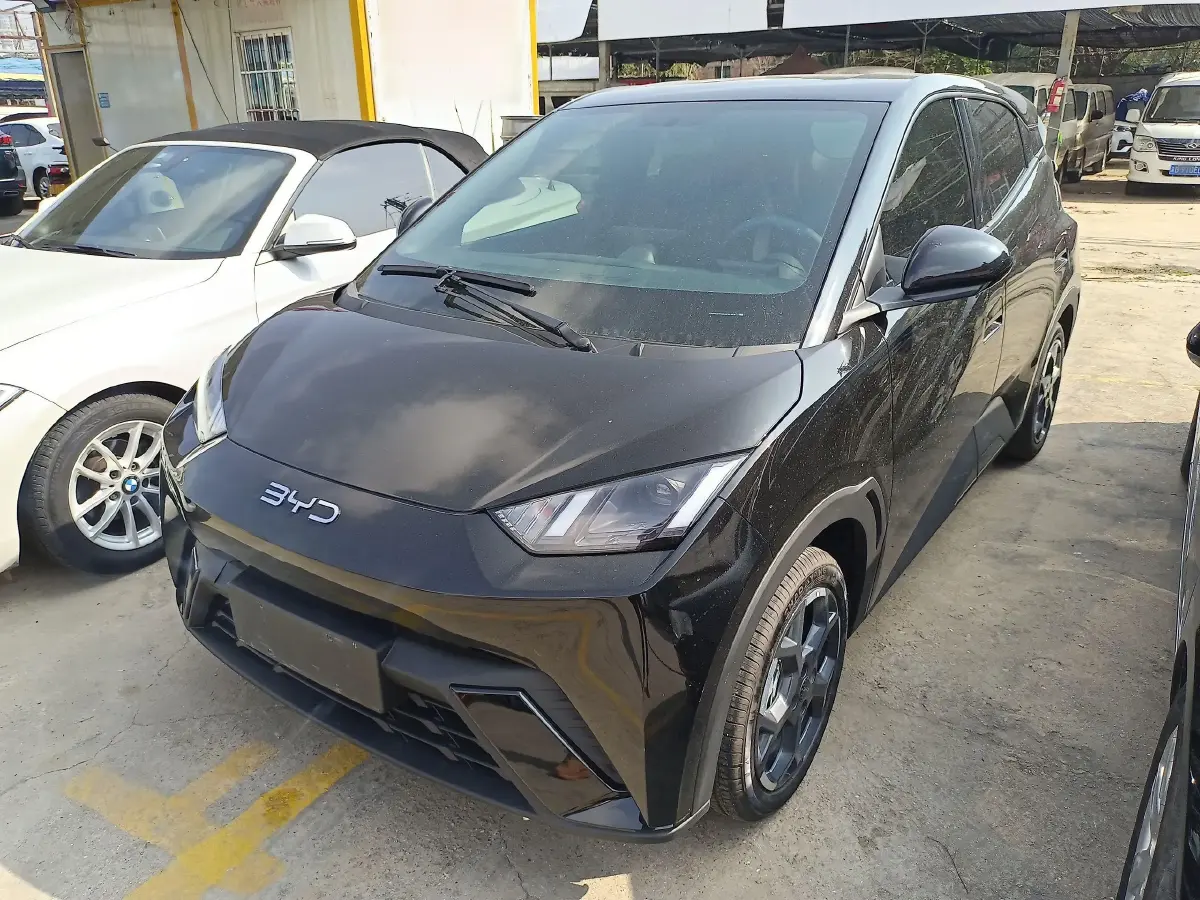 2025 BYD Seagull BEV 30.08KWH