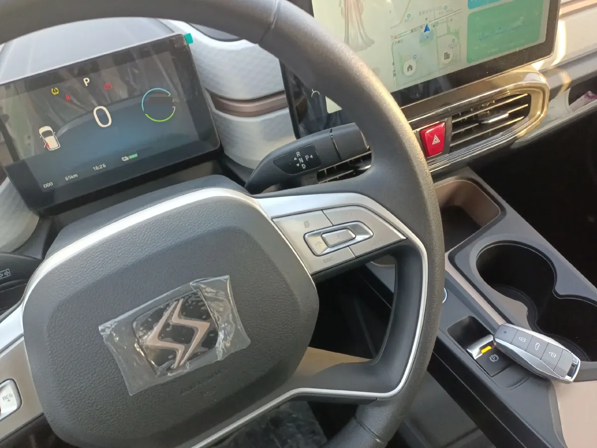 2023 Sehol HuaXianZi BEV 30.2KWH,autocango,china used car exporter,china ev exporter,chinese used car exporter,chinese used ev exporter