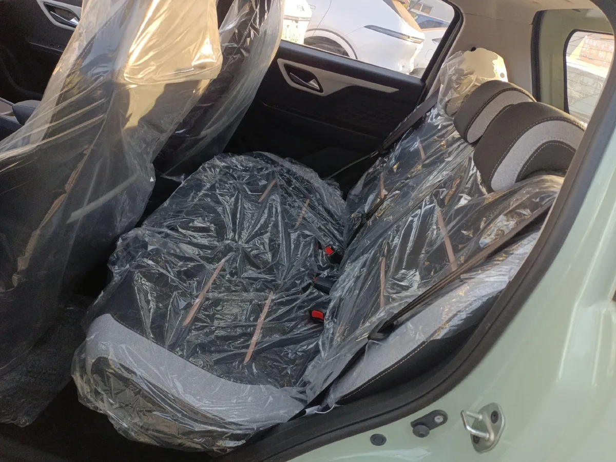 2023 Sehol HuaXianZi BEV 30.2KWH,autocango,china used car exporter,china ev exporter,chinese used car exporter,chinese used ev exporter