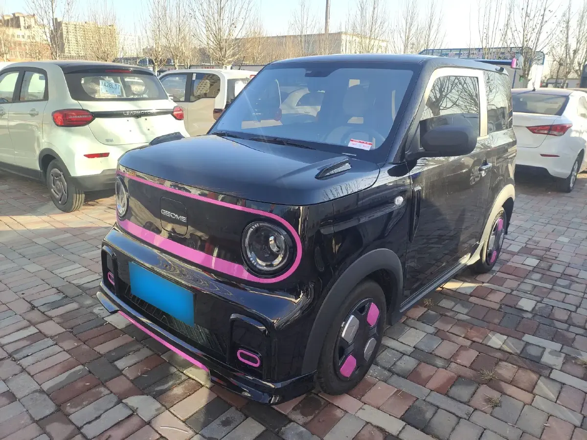 2025 Geely Panda BEV 17.03KWH