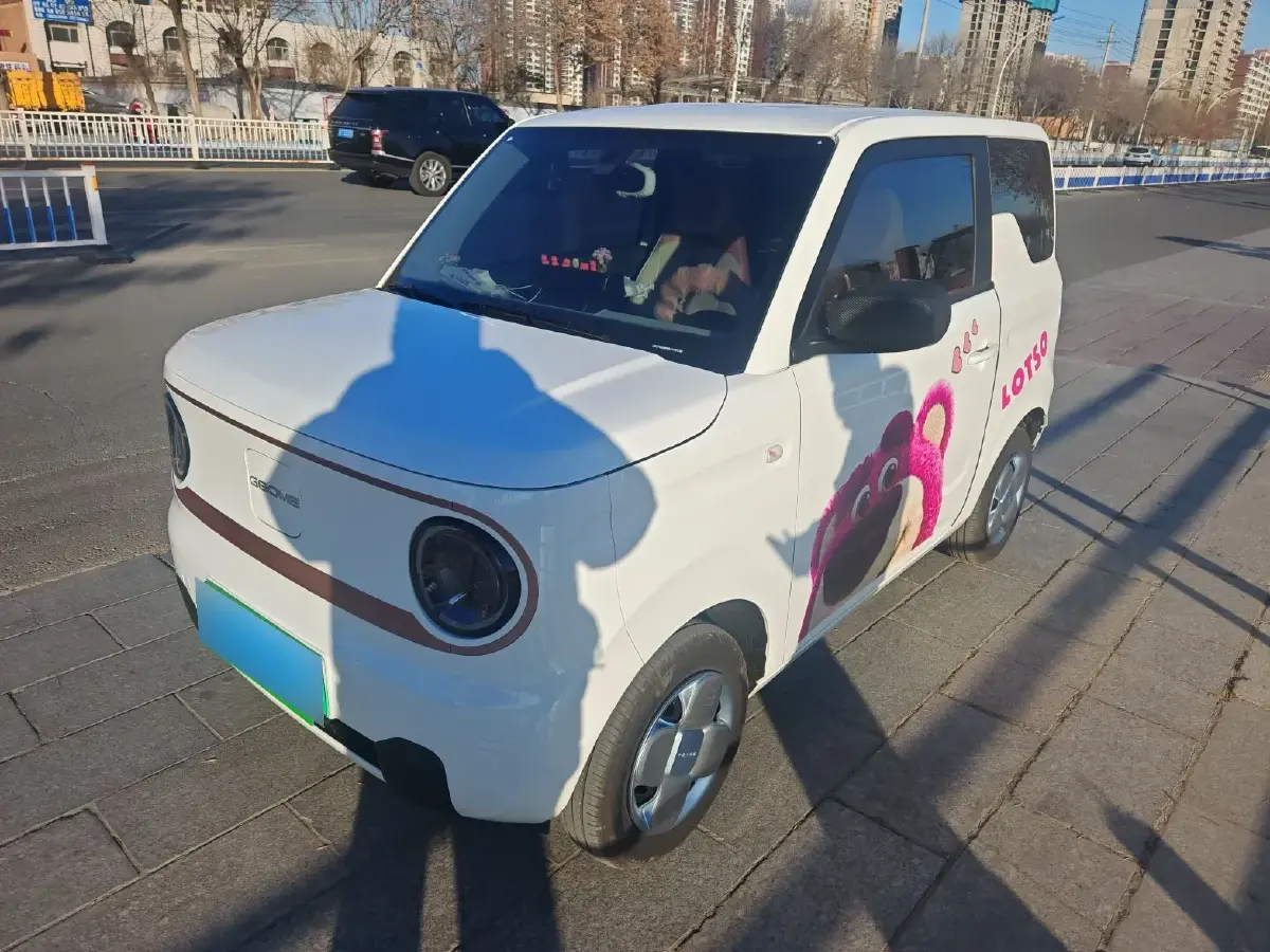 2024 Geely Panda BEV 17.03KWH