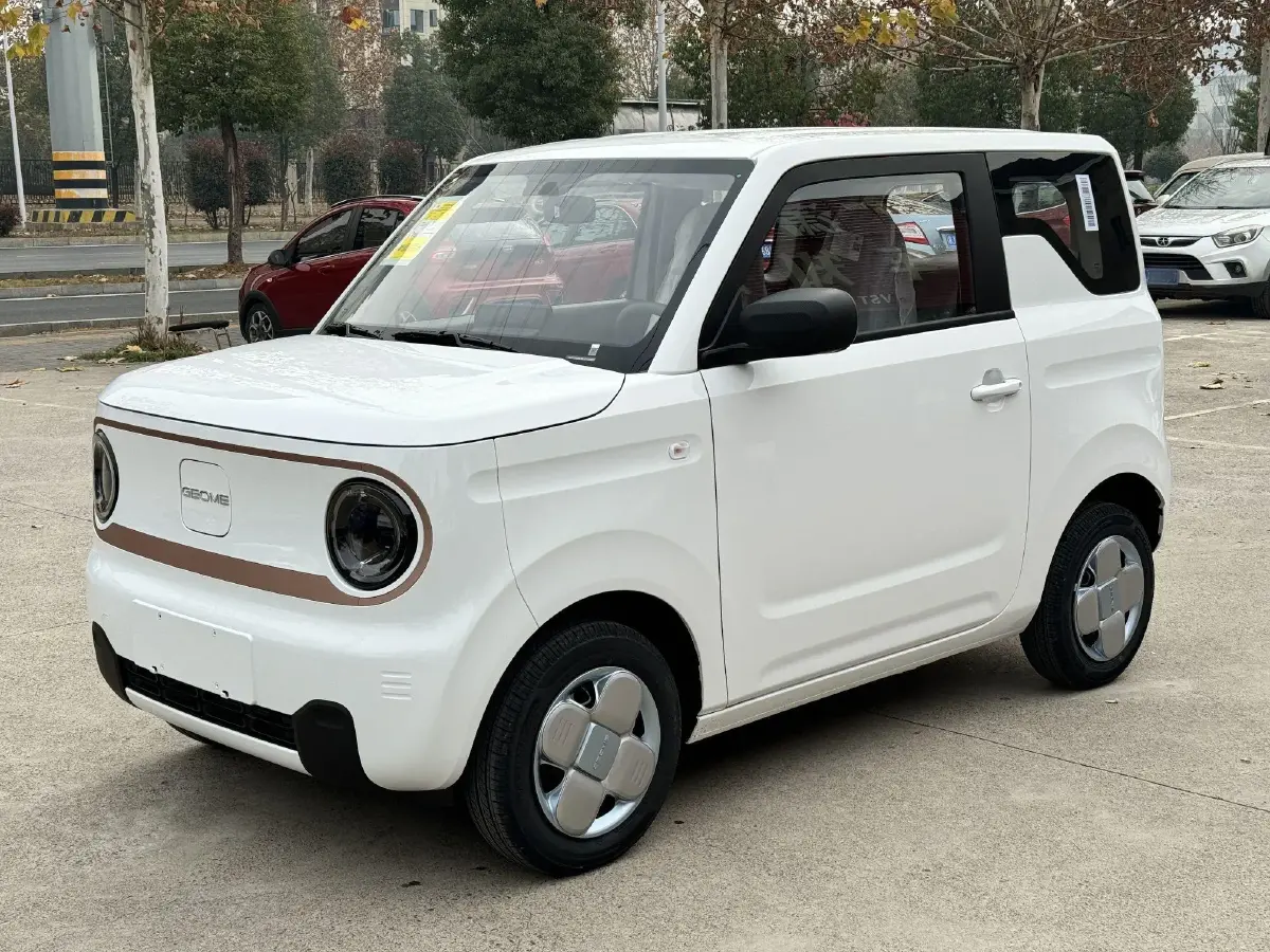 2024 Geely Panda BEV 17.03KWH