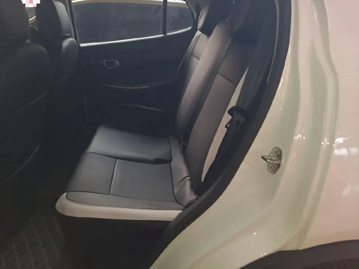 2022 DaYun YueHu BEV 30.66KWH,autocango,china used car exporter,china ev exporter,chinese used car exporter,chinese used ev exporter