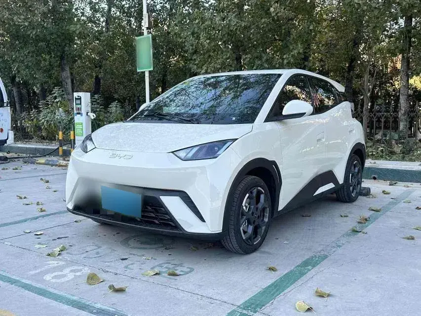 2025 BYD Seagull BEV 30.08KWH