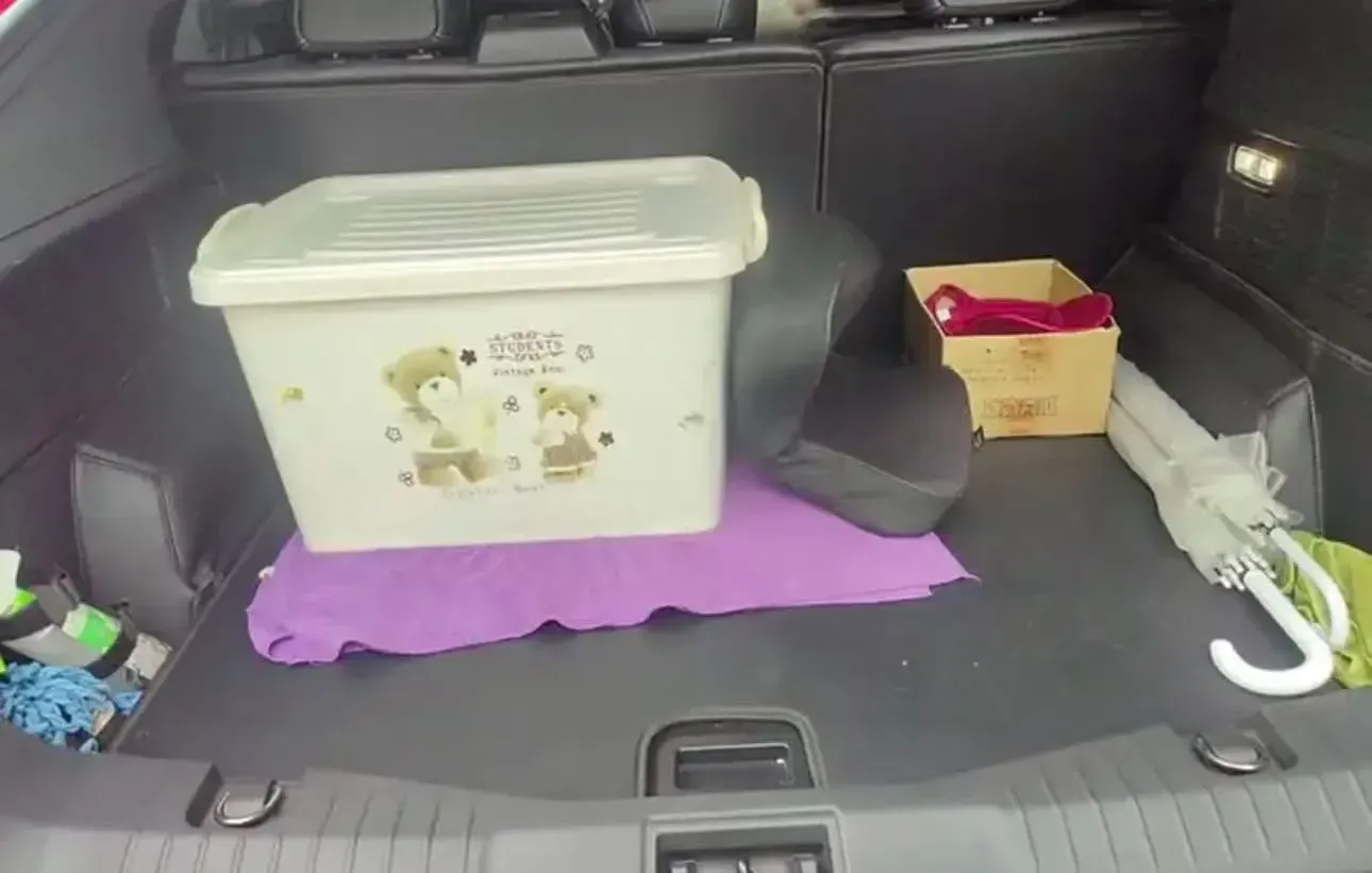 2021 Ford Mustang Mach-E BEV 80.3KWH,autocango,china used car exporter,china ev exporter,chinese used car exporter,chinese used ev exporter