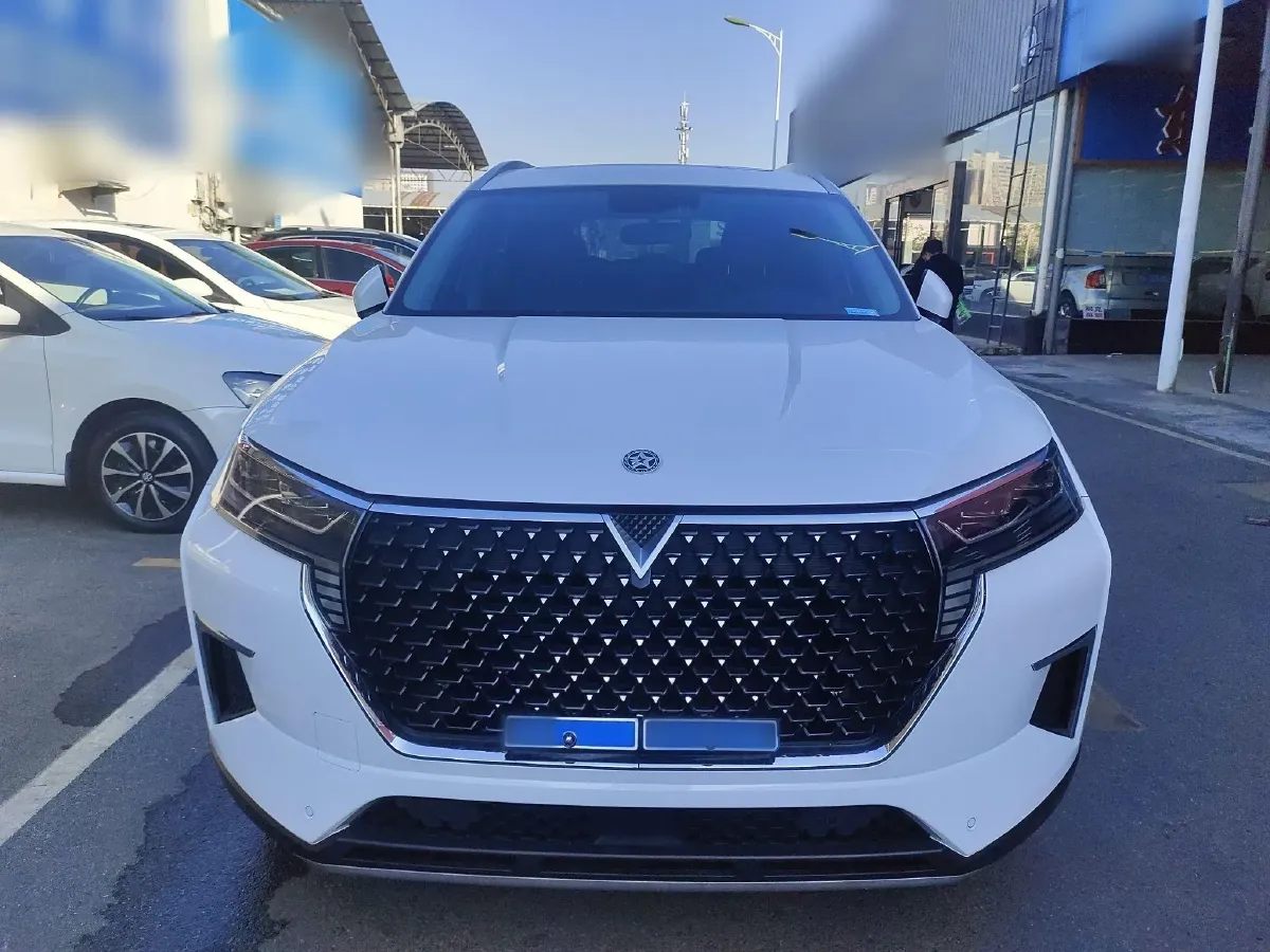 2023 Venucia Star 1.5T 190HP L4 7DCT,autocango,china used car exporter,china ev exporter,chinese used car exporter,chinese used ev exporter