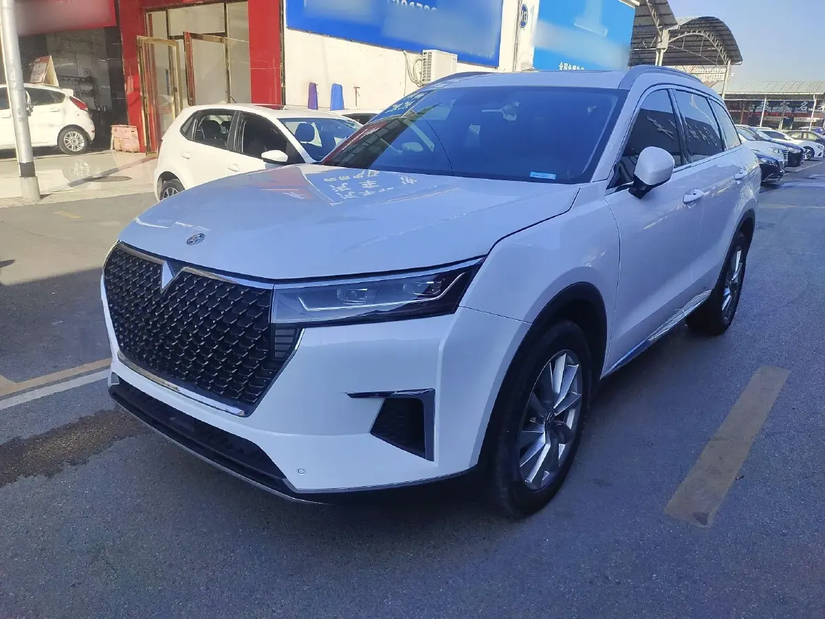 2023 Venucia Star 1.5T 190HP L4 7DCT