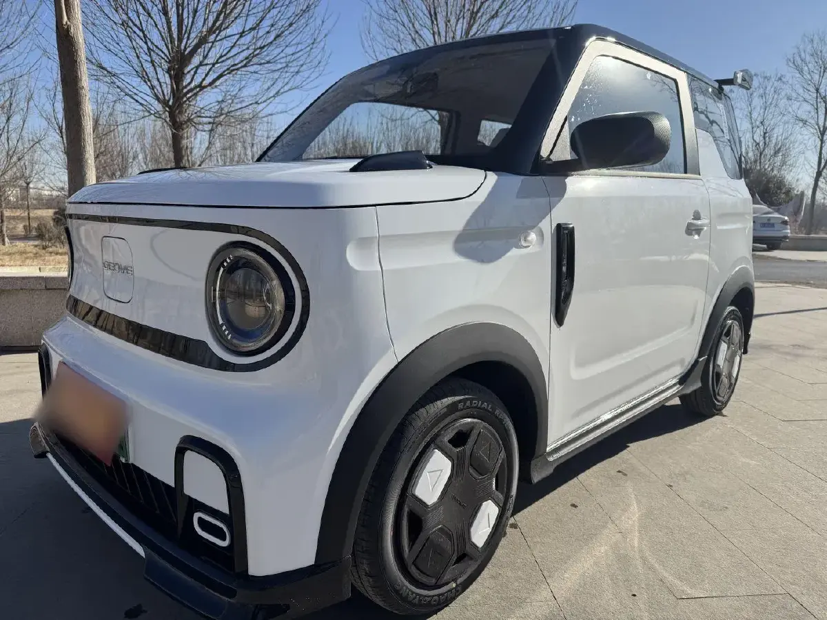 2025 Geely Panda BEV 17.03KWH