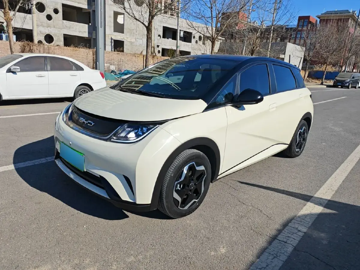 2021 BYD Dolphin BEV 44.9KWH
