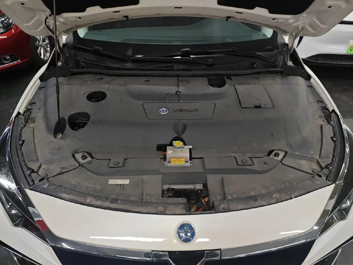 2023 Venucia D60 EV BEV 47KWH,autocango,china used car exporter,china ev exporter,chinese used car exporter,chinese used ev exporter