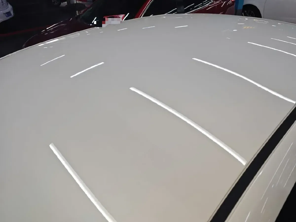 2023 Venucia D60 EV BEV 47KWH,autocango,china used car exporter,china ev exporter,chinese used car exporter,chinese used ev exporter