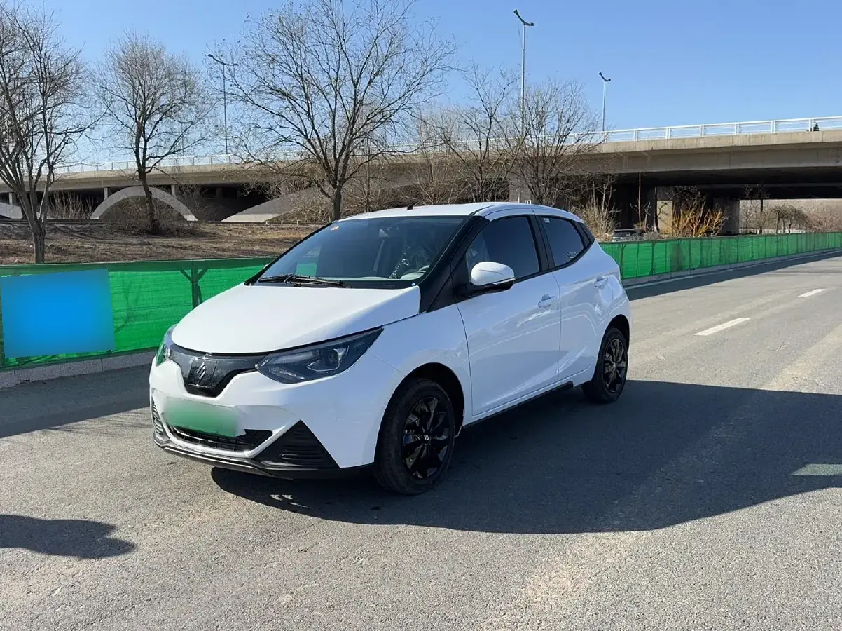 2024 JMEV Little Kylin BEV 15.86KWH