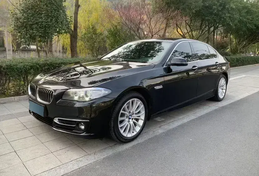 2017 BMW 5 Series 2.0T 218HP L4 8AT