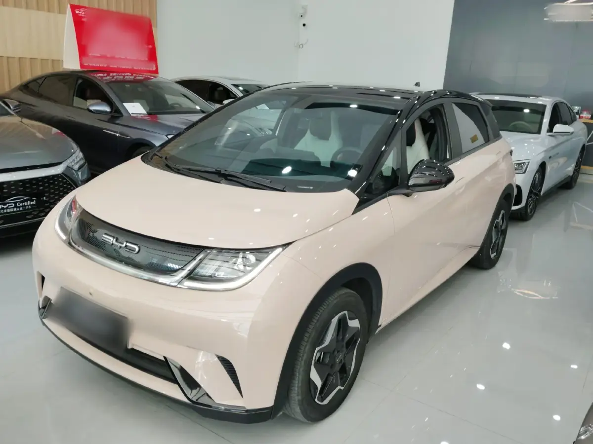 2021 BYD Dolphin BEV 44.9KWH