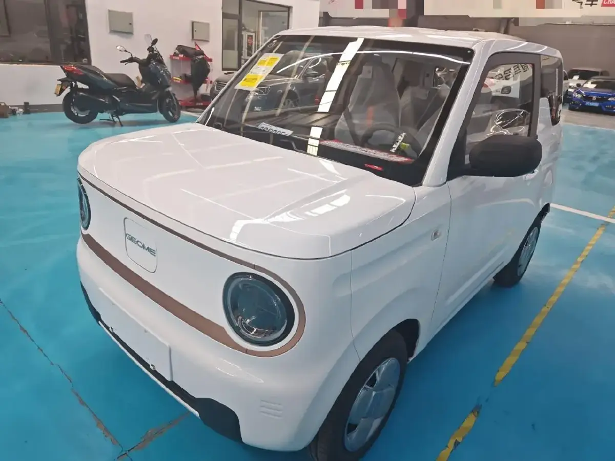 2024 Geely Panda BEV 17.03KWH