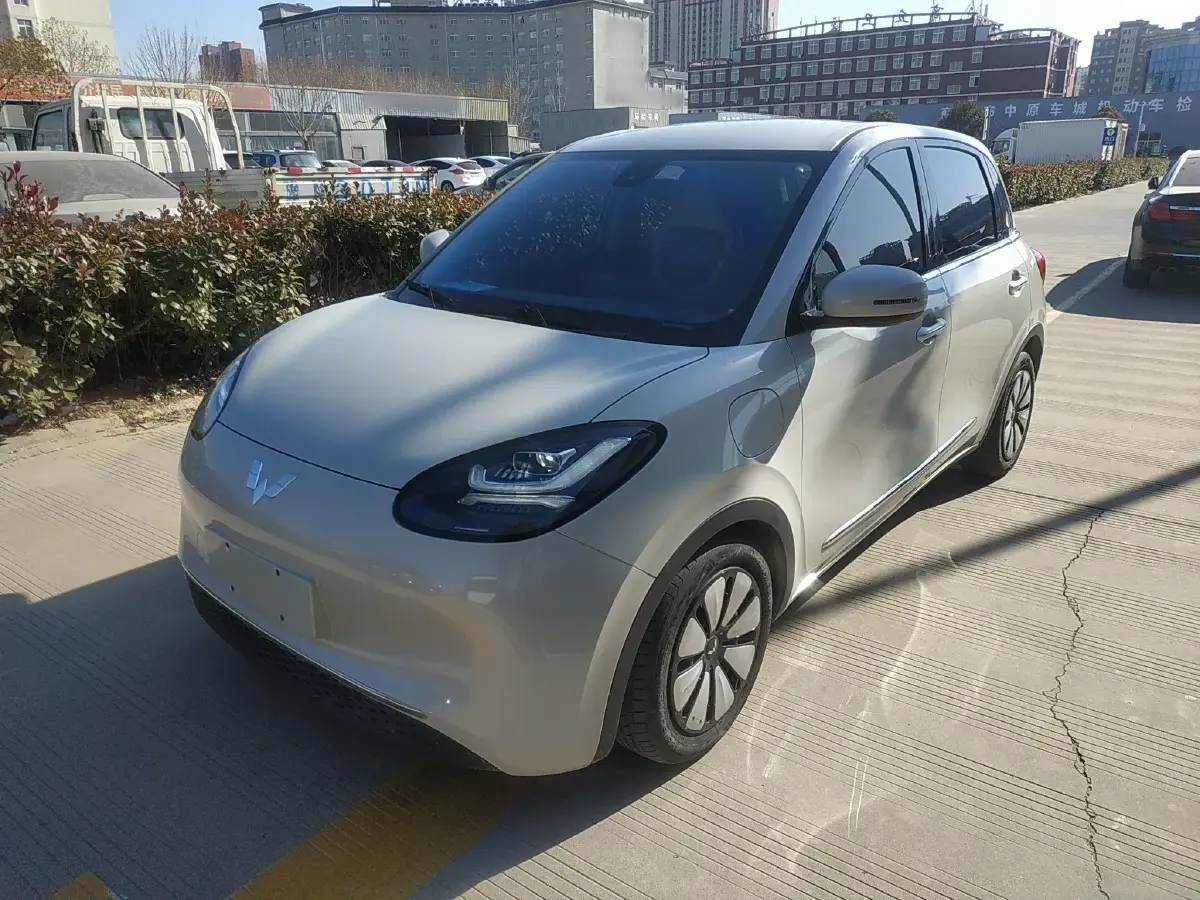 2023 WuLing BinGuo BEV 31.9KWH