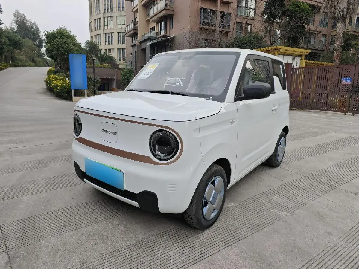 2024 Geely Panda BEV 17.03KWH