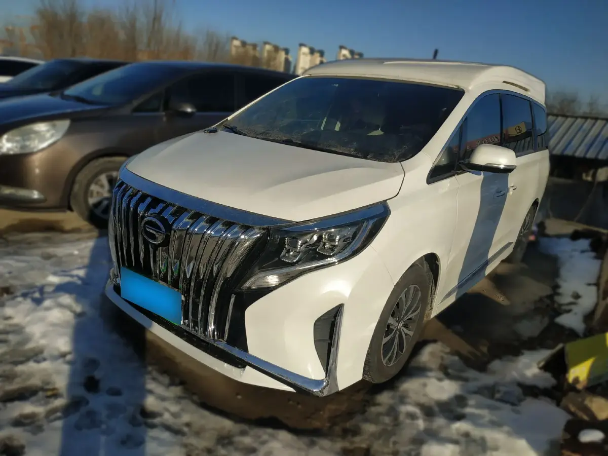 2021 GAC Trumpchi M8 2.0T 252HP L4 8AT