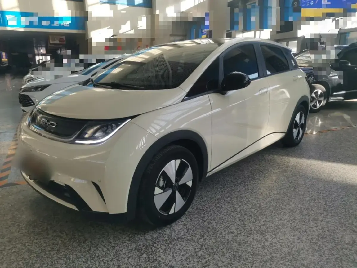 2023 BYD Dolphin BEV 44.928KWH